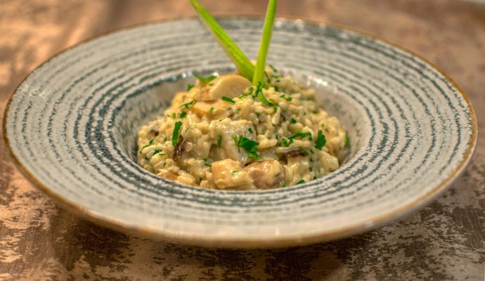 pexels-crysnet-14537683